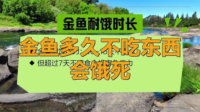 魚幾天不喂會餓死【《魚幾天不喂會餓死》不同種類的魚對饑餓的耐受程度存在差異】
