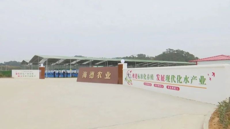 梧州魚缸維護【梧州魚缸維護全攻略】