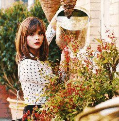 上海最大的魚缸批發市場【上海水族批發市場】 上海最大的魚缸批發市場【上海水族批發市場】 龍魚論壇 第4張