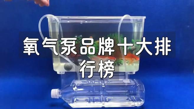 魚缸增氧泵哪個品牌好【2025年主流的魚缸增氧泵品牌】