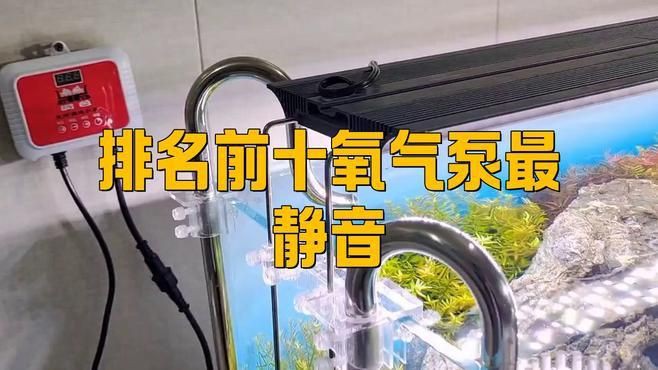 魚缸增氧泵哪個品牌好【2025年主流的魚缸增氧泵品牌】