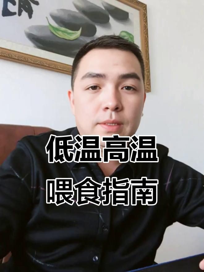 錦鯉魚糧哪個牌子的好【優質錦鯉魚糧品牌綜合推薦及選購指南(18】