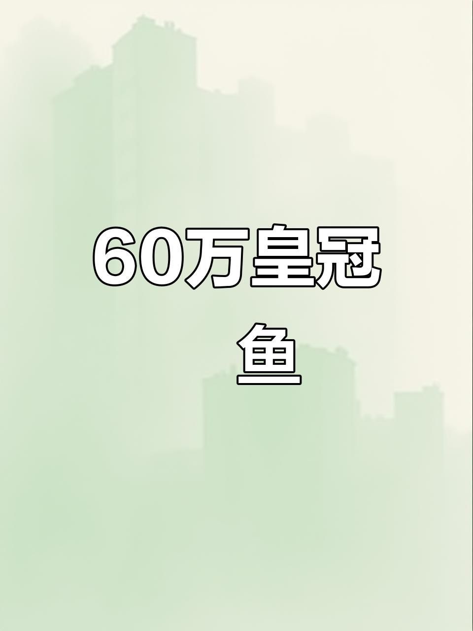 皇冠黑金魟魚價格【皇冠黑金魟魚價格大揭秘】 皇冠黑金魟魚價格【皇冠黑金魟魚價格大揭秘】 龍魚論壇 第8張