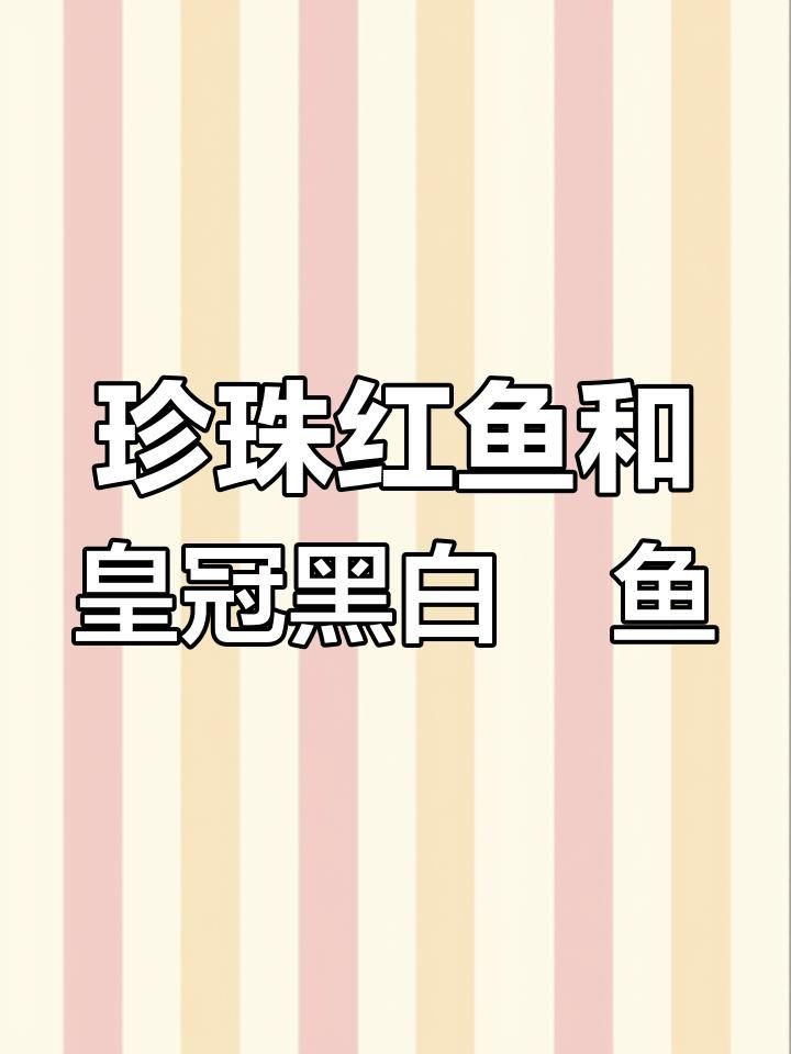 皇冠黑金魟魚價格【皇冠黑金魟魚價格大揭秘】 皇冠黑金魟魚價格【皇冠黑金魟魚價格大揭秘】 龍魚論壇 第4張