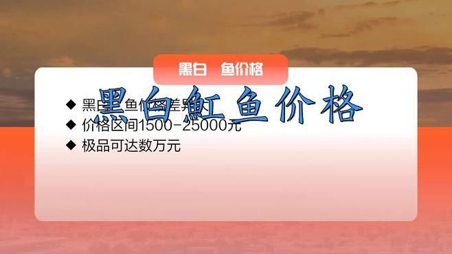 皇冠黑金魟魚價格【皇冠黑金魟魚價格大揭秘】 皇冠黑金魟魚價格【皇冠黑金魟魚價格大揭秘】 龍魚論壇 第5張