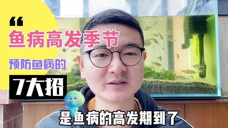 如何預防魚身上充血？【如何預防魚身上充血】 如何預防魚身上充血？【如何預防魚身上充血】 龍魚百科 第5張