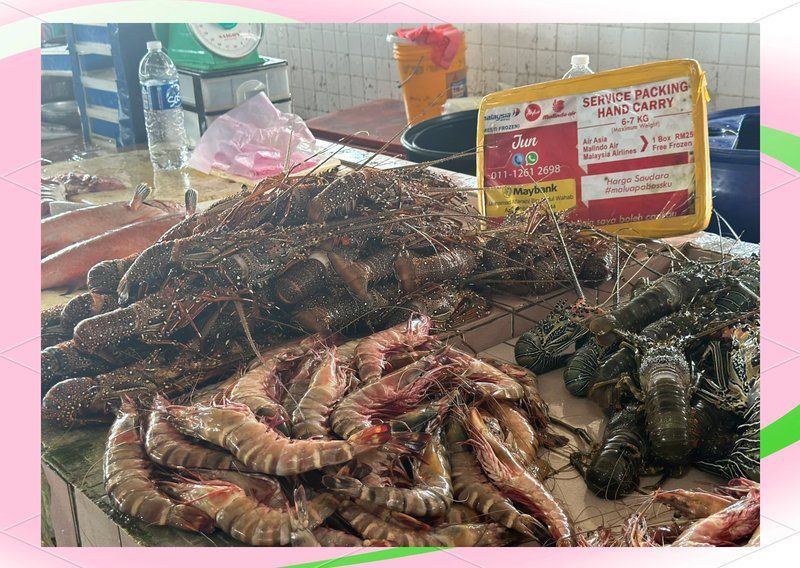 馬來西亞海鮮種類【馬來西亞十大名魚喵駕導,馬來西亞海鮮大冒險】 龍魚百科 第3張 馬來西亞海鮮種類【馬來西亞十大名魚喵駕導,馬來西亞海鮮大冒險】 馬來西亞海鮮種類【馬來西亞十大名魚喵駕導,馬來西亞海鮮大冒險】 龍魚百科 第3張