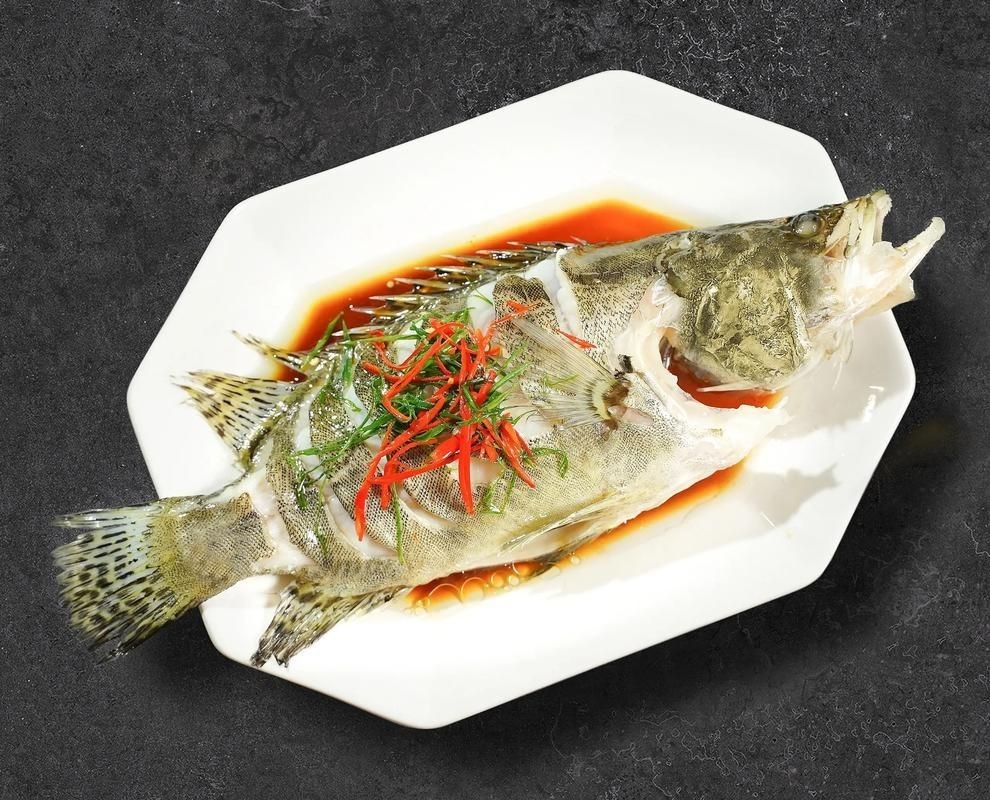 桂魚(yú)圖片大全【《桂魚(yú)圖片大全》匯聚了多種鱖屬魚(yú)類的精美影像，全面展示獨(dú)特形態(tài)】