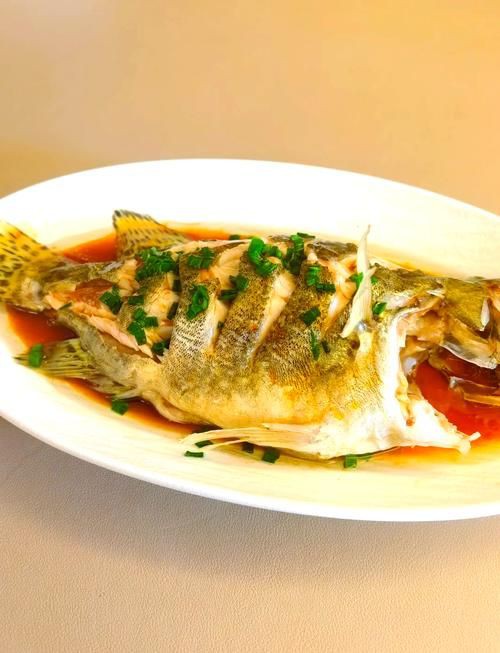 桂魚(yú)圖片大全【《桂魚(yú)圖片大全》匯聚了多種鱖屬魚(yú)類的精美影像，全面展示獨(dú)特形態(tài)】