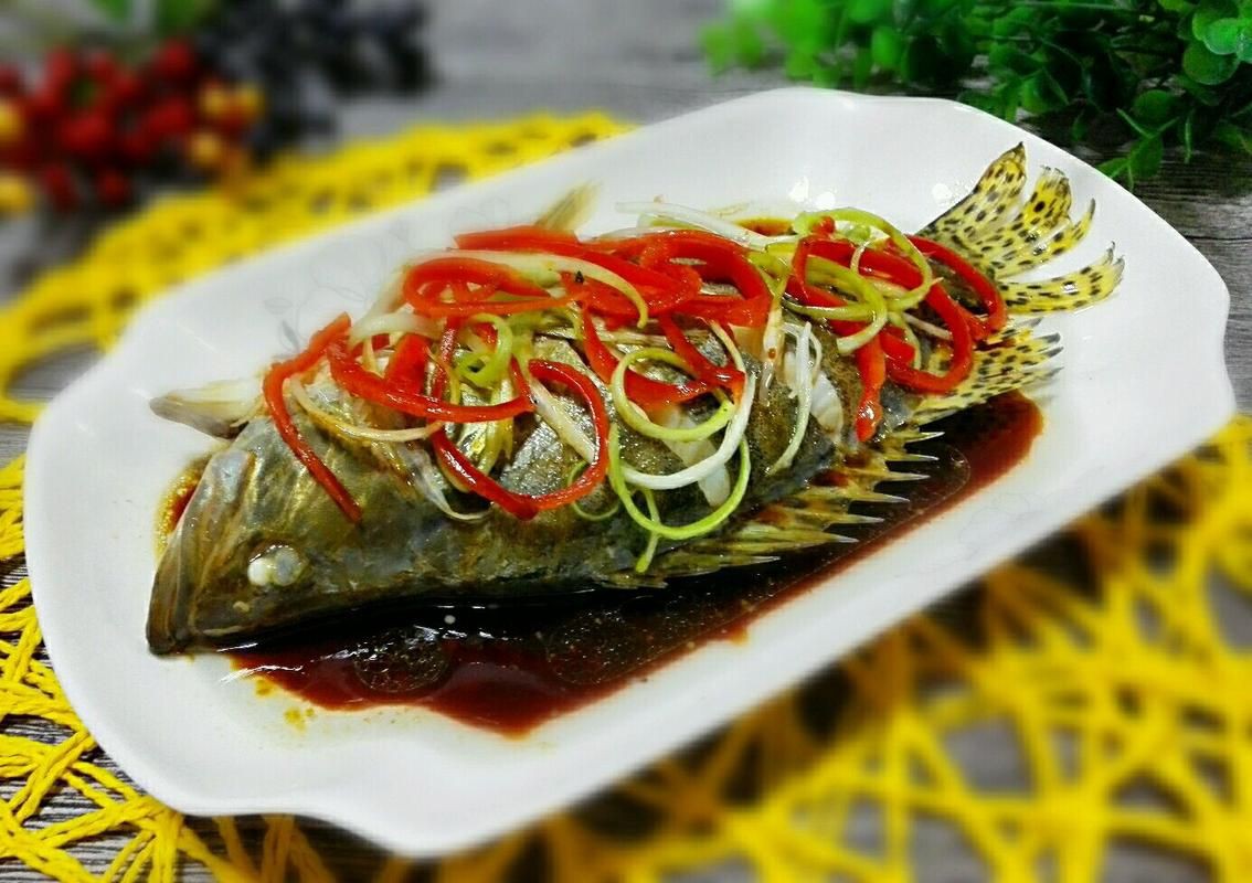 桂魚(yú)圖片大全【《桂魚(yú)圖片大全》匯聚了多種鱖屬魚(yú)類的精美影像，全面展示獨(dú)特形態(tài)】