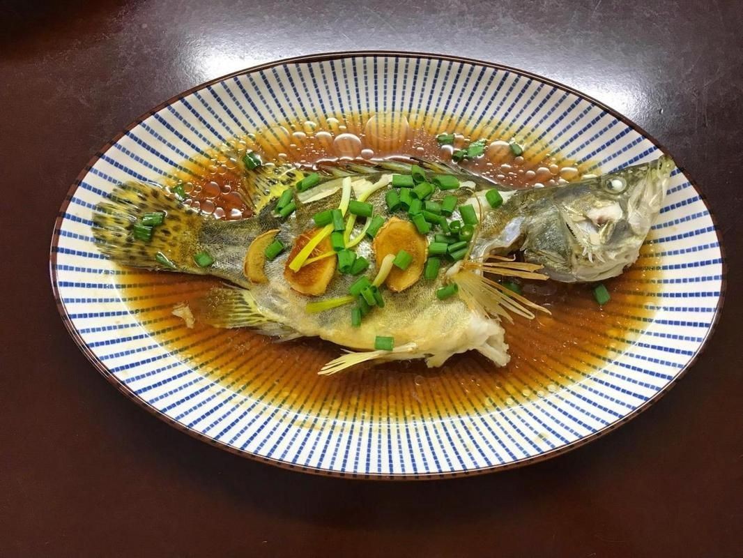 桂魚(yú)圖片大全【《桂魚(yú)圖片大全》匯聚了多種鱖屬魚(yú)類的精美影像，全面展示獨(dú)特形態(tài)】