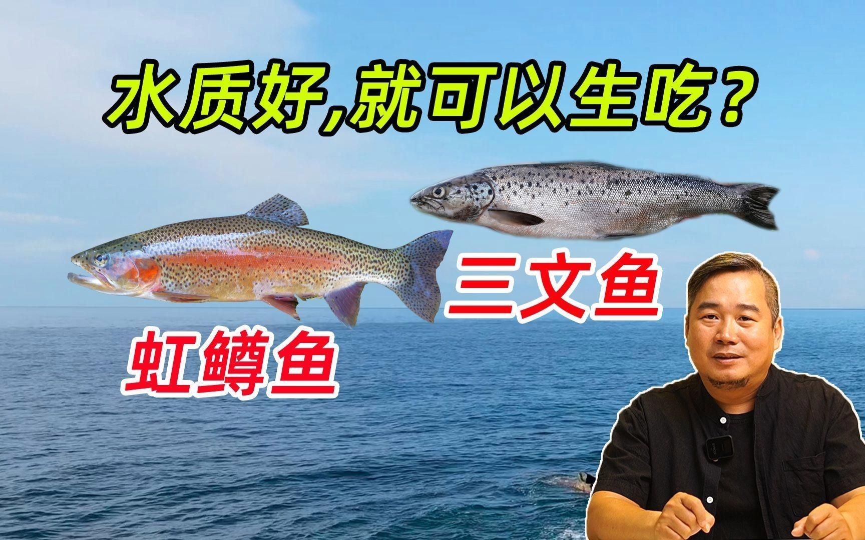 如何區(qū)分海魚和淡水魚？【]海魚和淡水魚哪個營養(yǎng)價值更高原來一直吃錯了大娛車】 如何區(qū)分海魚和淡水魚？【]海魚和淡水魚哪個營養(yǎng)價值更高原來一直吃錯了大娛車】 龍魚百科 第7張