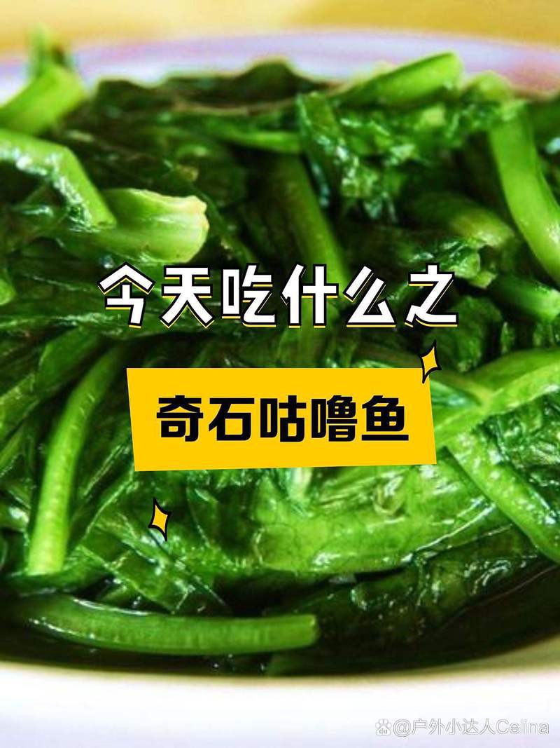 楊陵龍魚店【廣州楊陵龍魚店怎么樣？】