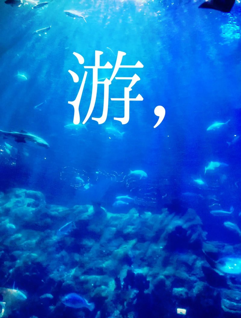 仁布水族店【仁布水族店:打造高原水族文化新地標】 仁布水族店【仁布水族店:打造高原水族文化新地標】 全國水族館企業名錄 第4張