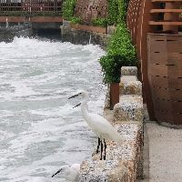 海洋館100種動物名字【《海洋館100種動物名字》】 海洋館100種動物名字【《海洋館100種動物名字》】 龍魚論壇 第7張