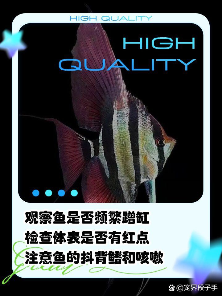 怎么判斷魚有沒有寄生蟲【如何判斷魚有沒有寄生蟲】