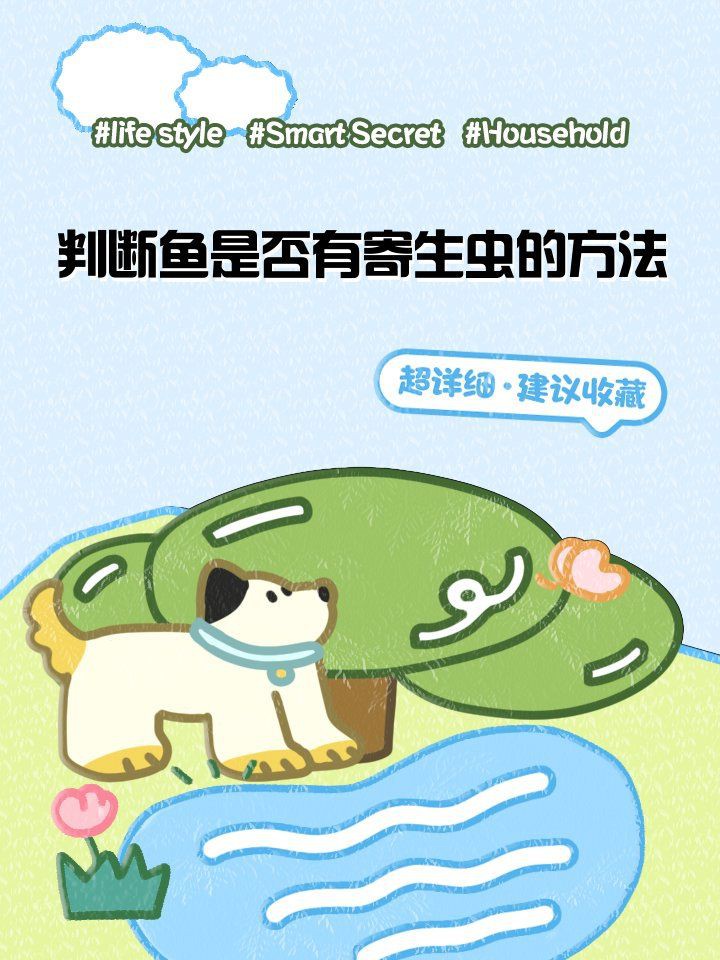 怎么判斷魚有沒有寄生蟲【如何判斷魚有沒有寄生蟲】