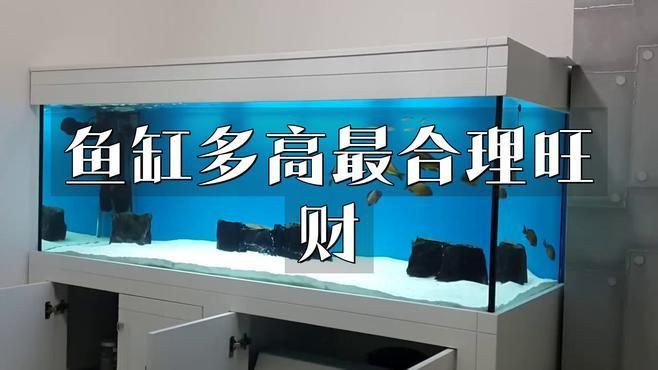 有哪些魚(yú)缸尺寸被認(rèn)為是最吉利的？【魚(yú)缸尺寸最吉利且適合不同場(chǎng)景】 有哪些魚(yú)缸尺寸被認(rèn)為是最吉利的？【魚(yú)缸尺寸最吉利且適合不同場(chǎng)景】 龍魚(yú)百科 第2張
