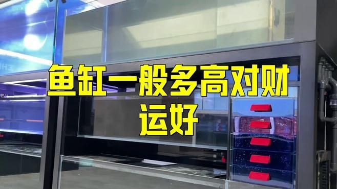 有哪些魚(yú)缸尺寸被認(rèn)為是最吉利的？【魚(yú)缸尺寸最吉利且適合不同場(chǎng)景】 有哪些魚(yú)缸尺寸被認(rèn)為是最吉利的？【魚(yú)缸尺寸最吉利且適合不同場(chǎng)景】 龍魚(yú)百科 第4張
