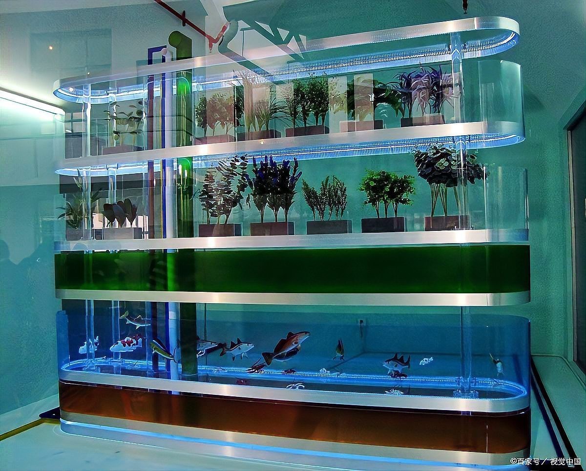 水族品牌十大名牌排行榜【2025年水族十大名牌排行榜】