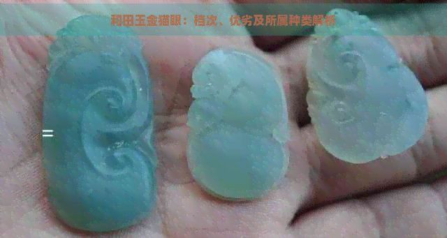 和田玉黃金貓【和田玉黃金貓的價格差異較大】