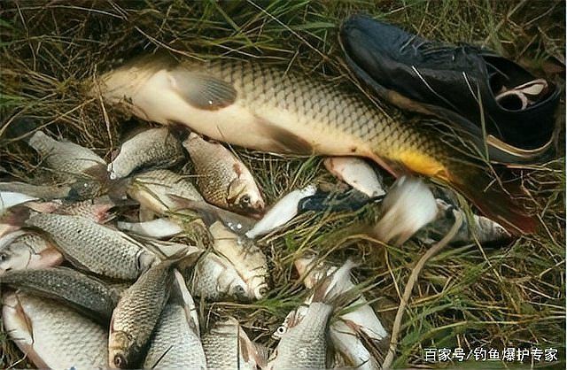 魚浮頭最簡單三個釣法【老釣手私藏3招比釣浮更有效,新手5分鐘學會,徐大王愛釣魚】