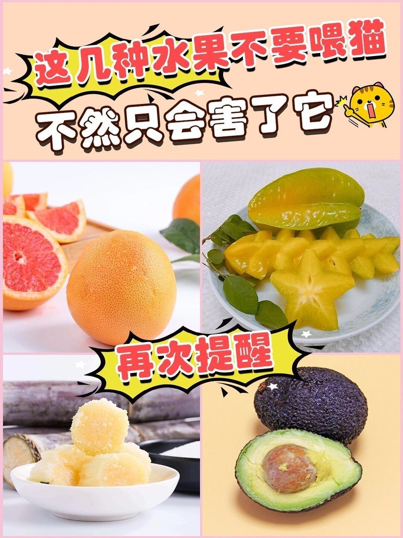三紋印尼虎最忌三種水果【“三紋印尼虎”通常指特別注意避免三種水果的協(xié)同毒性】