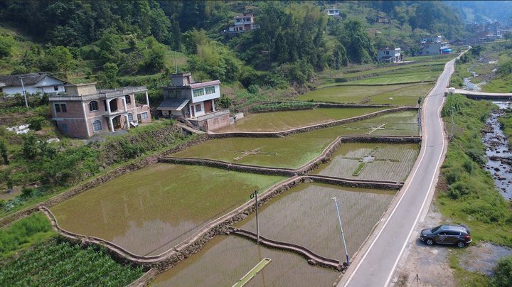 習(xí)水龍魚店【習(xí)水縣森森水族昆侖北路店有哪些龍魚品種習(xí)水龍魚店】