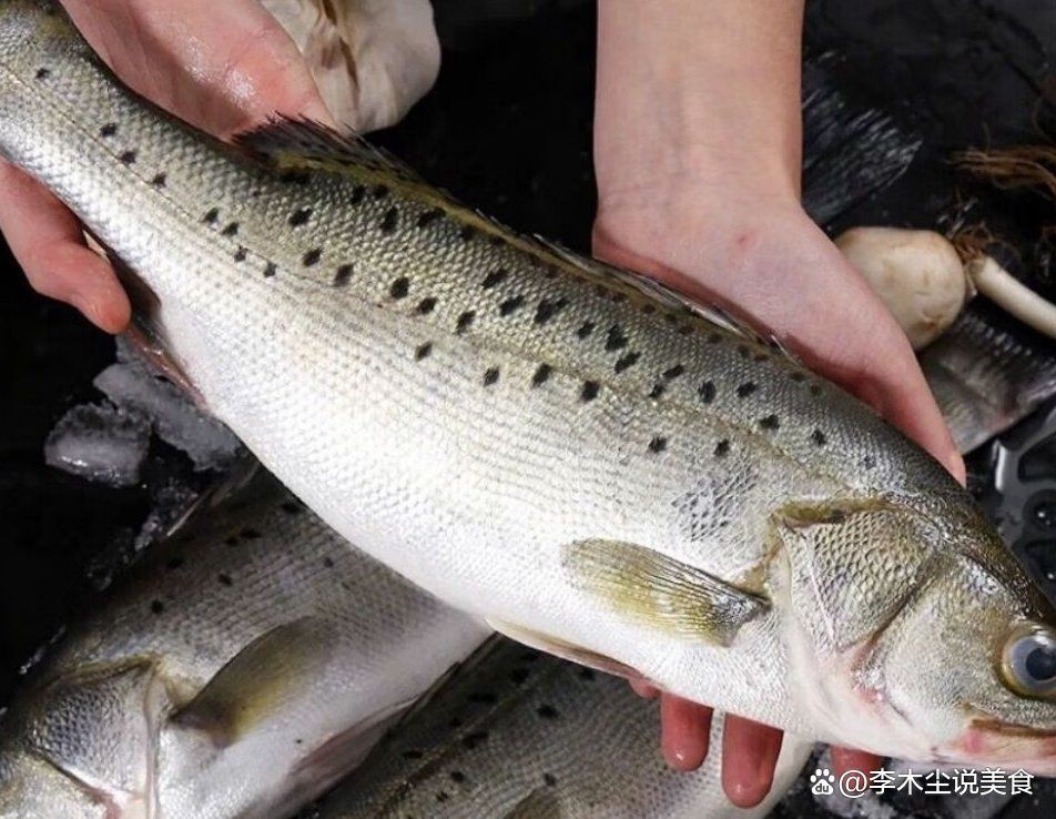 鱸魚30一斤貴不貴【鱸魚30元一斤是否偏貴需結合市場類型與品質綜合判斷】