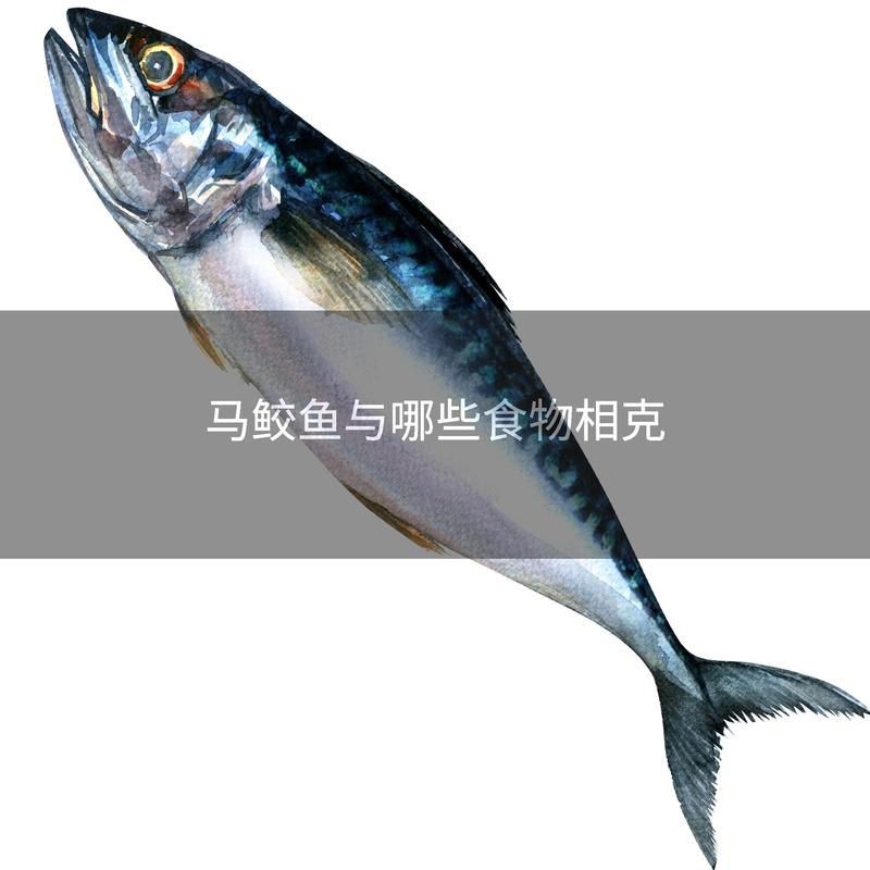 馬來魟魚最忌三種東西【馬來魟魚與哪些食物相克大眾養(yǎng)生網(wǎng)怎么飼養(yǎng)虹魚“魔鬼魚”】