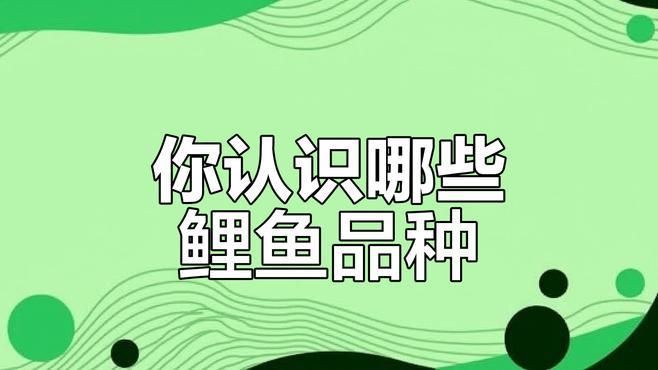 鯉魚的名字叫什么【“鯉魚的名字叫什么”】 鯉魚的名字叫什么【“鯉魚的名字叫什么”】 龍魚百科 第6張