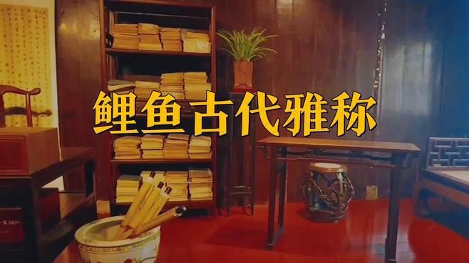 鯉魚的名字叫什么【“鯉魚的名字叫什么”】 鯉魚的名字叫什么【“鯉魚的名字叫什么”】 龍魚百科 第5張