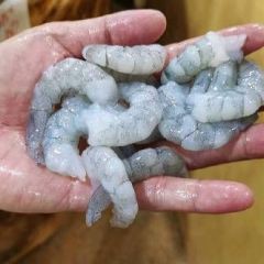 三角鯽魚多少錢一斤【2025年三角鯽魚市場價格分析與趨勢展望】