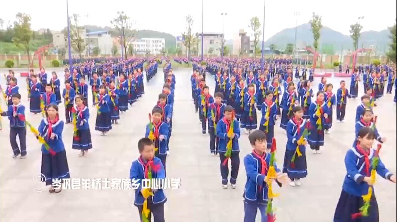 岑鞏水族店【岑鞏縣創意水族店】