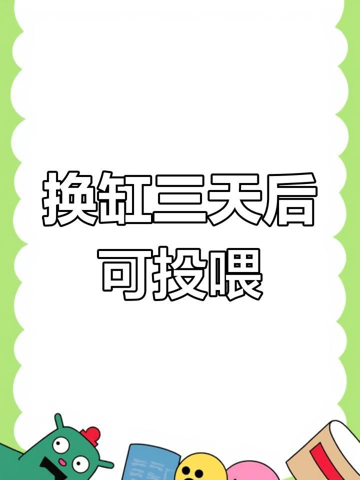 換缸后多久喂食合適？【觀賞魚換缸后多久能喂食】