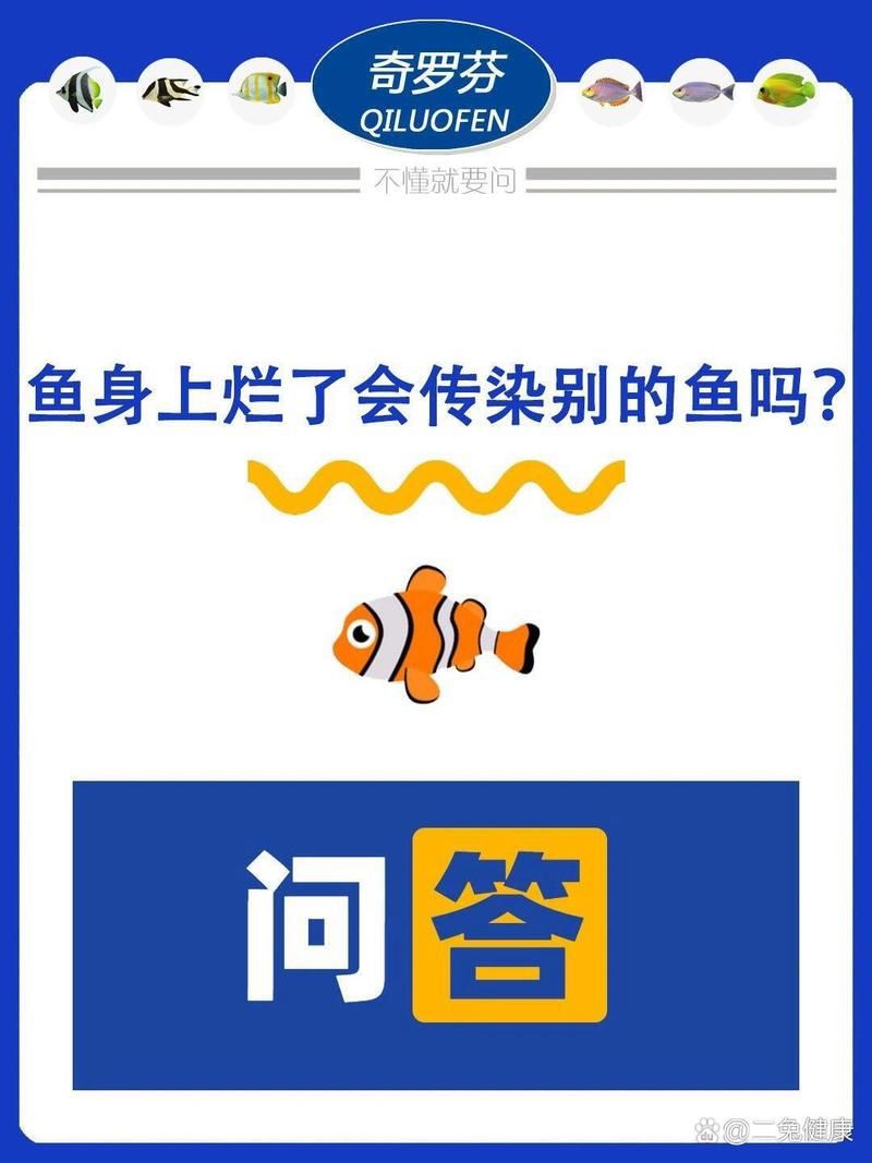 魚鱗腐爛會傳染其他魚嗎？【魚鱗腐爛會傳染給其他魚嗎？】