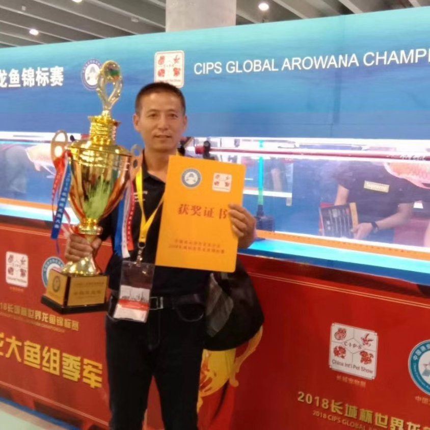 湘潭水族批發市場【關于湘潭水族批發市場】