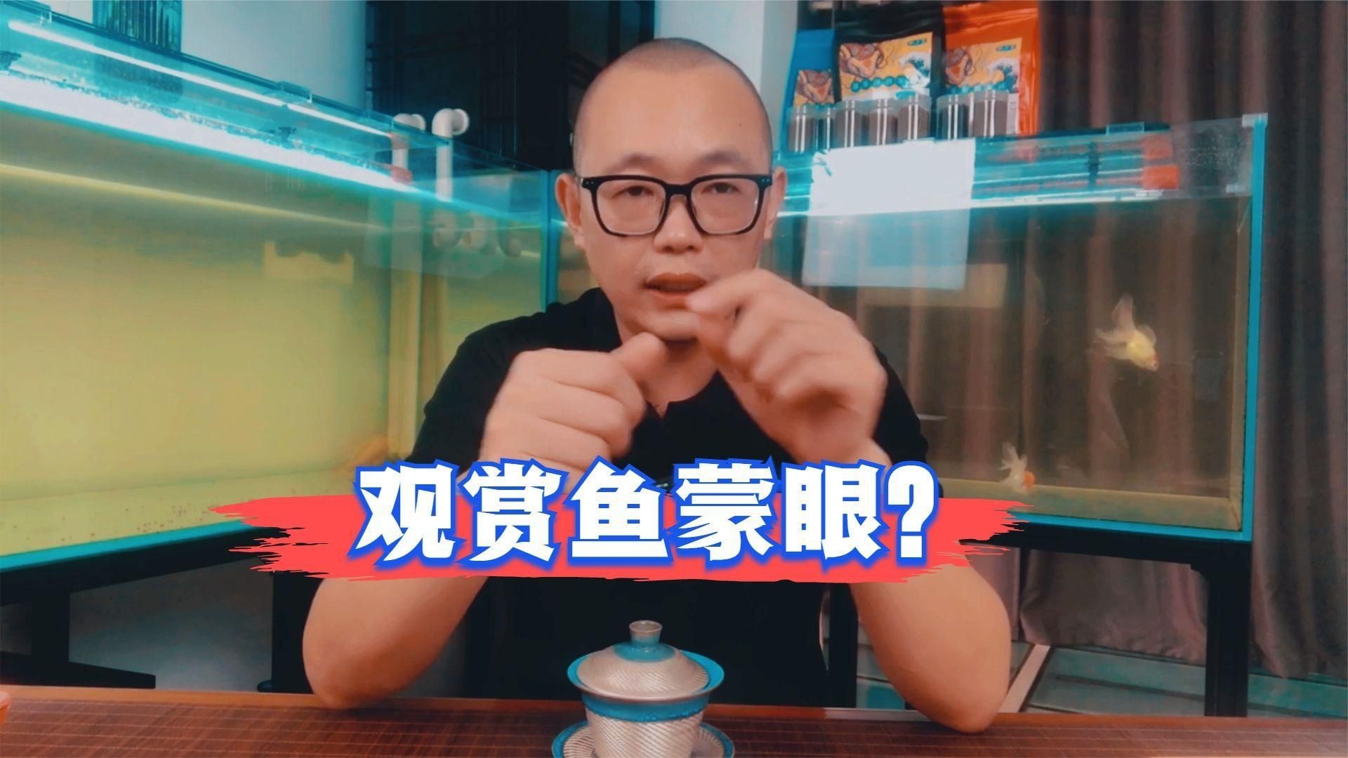 魚蒙眼是什么原因導致的【養魚筆記第3季104集觀賞魚蒙眼到底是不是病】 魚蒙眼是什么原因導致的【養魚筆記第3季104集觀賞魚蒙眼到底是不是病】 龍魚百科 第13張