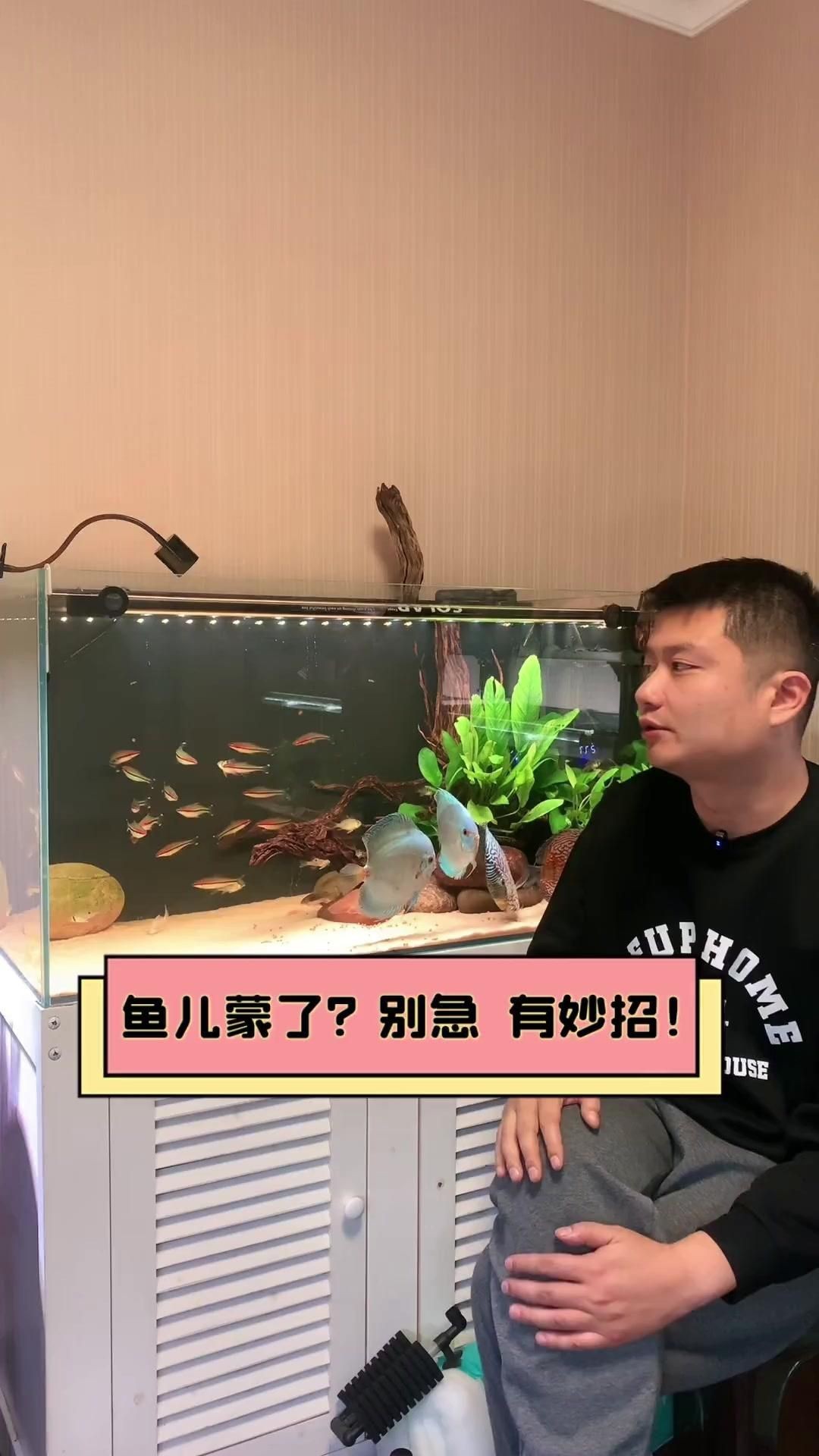 魚蒙眼是什么原因導致的【養魚筆記第3季104集觀賞魚蒙眼到底是不是病】 魚蒙眼是什么原因導致的【養魚筆記第3季104集觀賞魚蒙眼到底是不是病】 龍魚百科 第5張