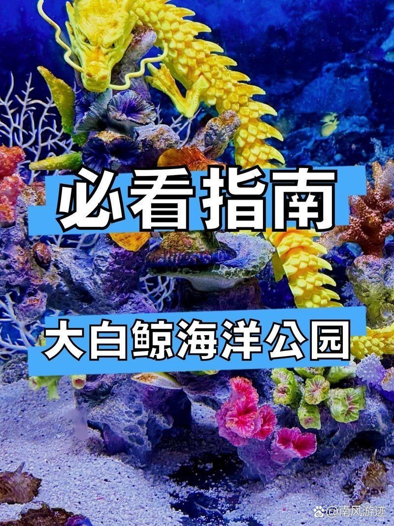 蕪湖水族店【關于“蕪湖水族店”的300-400字】 蕪湖水族店【關于“蕪湖水族店”的300-400字】 全國水族館企業名錄 第10張