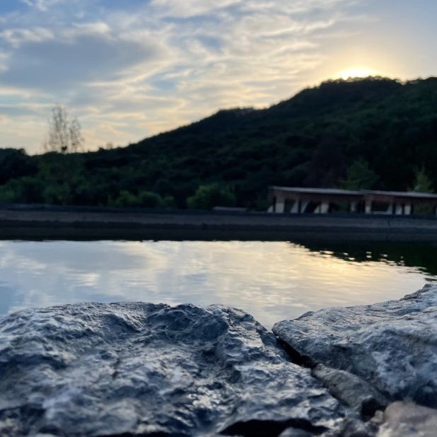 蕪湖水族店【關于“蕪湖水族店”的300-400字】 蕪湖水族店【關于“蕪湖水族店”的300-400字】 全國水族館企業名錄 第11張