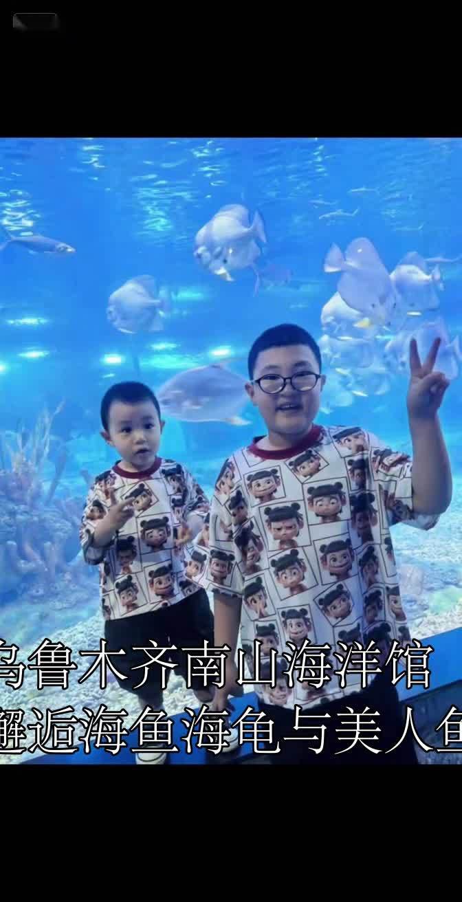 烏魯木齊水族店【烏魯木齊水族館之旅】