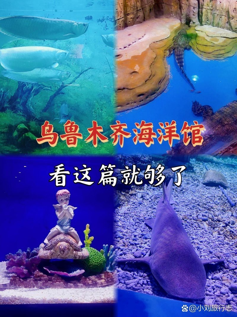 烏魯木齊水族店【烏魯木齊水族館之旅】