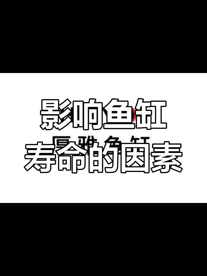 1米2魚缸的壽命有多長【1.2米以上的魚缸壽命一般是多少年佰通物聯(lián)】