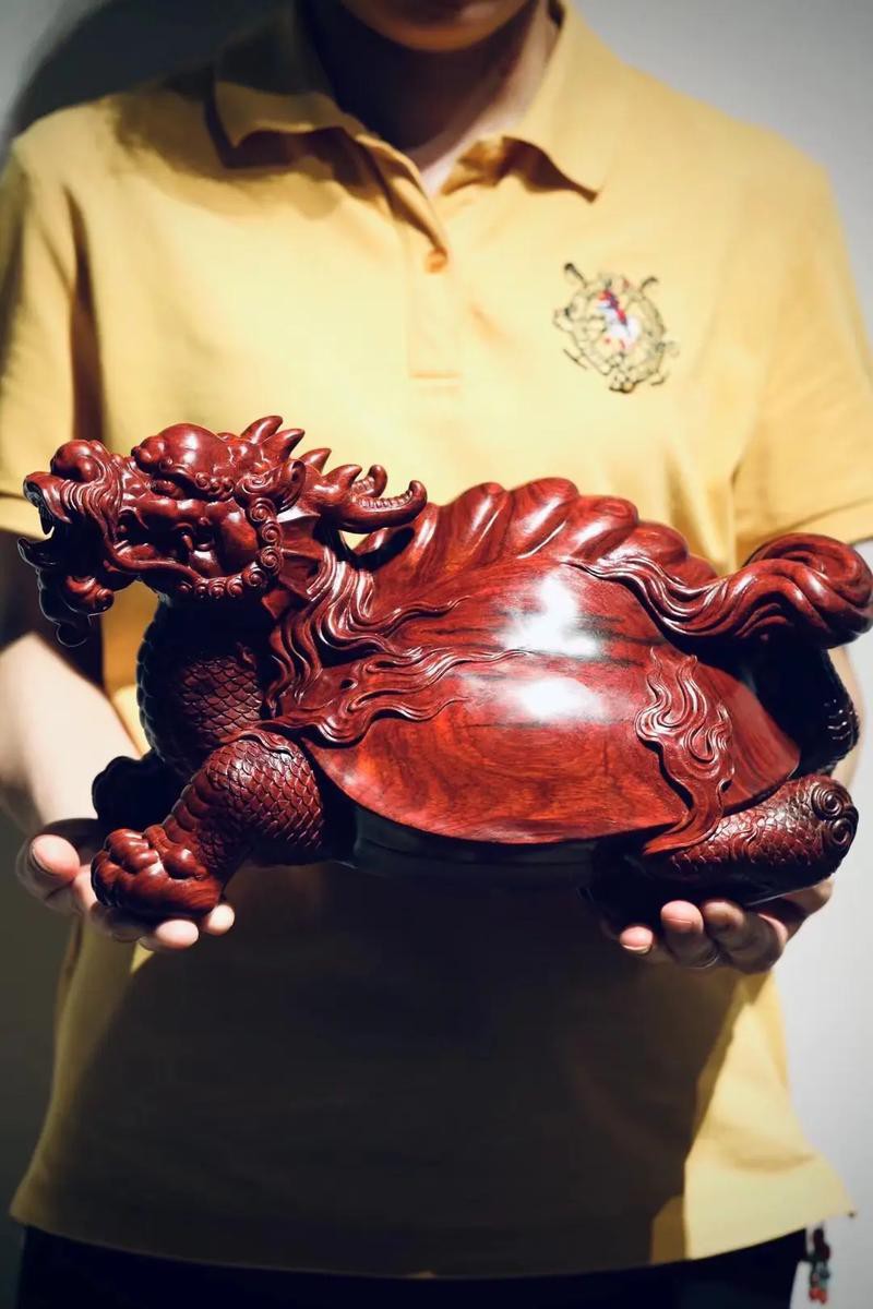 10萬(wàn)以上龍龜圖片【圖行天下龍龜圖片鑒定】 龍魚(yú)論壇 第24張 10萬(wàn)以上龍龜圖片【圖行天下龍龜圖片鑒定】 10萬(wàn)以上龍龜圖片【圖行天下龍龜圖片鑒定】 龍魚(yú)論壇 第24張