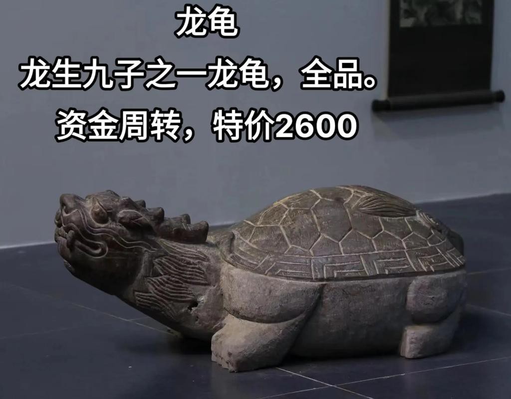 10萬(wàn)以上龍龜圖片【圖行天下龍龜圖片鑒定】 龍魚(yú)論壇 第2張 10萬(wàn)以上龍龜圖片【圖行天下龍龜圖片鑒定】 10萬(wàn)以上龍龜圖片【圖行天下龍龜圖片鑒定】 龍魚(yú)論壇 第2張
