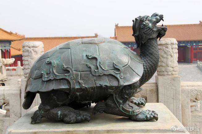 10萬(wàn)以上龍龜圖片【圖行天下龍龜圖片鑒定】 10萬(wàn)以上龍龜圖片【圖行天下龍龜圖片鑒定】 龍魚(yú)論壇 第29張