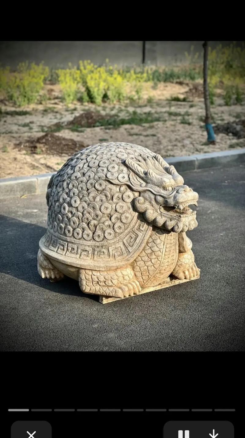 10萬(wàn)以上龍龜圖片【圖行天下龍龜圖片鑒定】 龍魚(yú)論壇 第14張 10萬(wàn)以上龍龜圖片【圖行天下龍龜圖片鑒定】 10萬(wàn)以上龍龜圖片【圖行天下龍龜圖片鑒定】 龍魚(yú)論壇 第14張