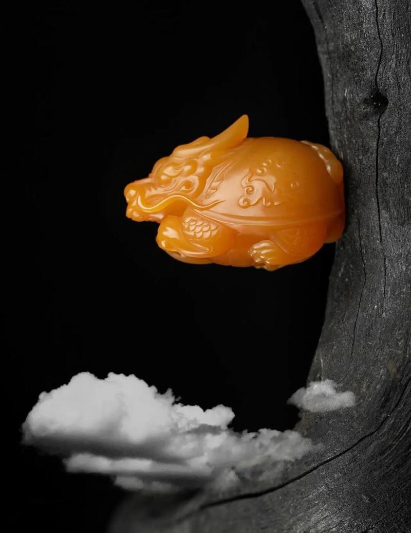 10萬(wàn)以上龍龜圖片【圖行天下龍龜圖片鑒定】 10萬(wàn)以上龍龜圖片【圖行天下龍龜圖片鑒定】 龍魚(yú)論壇 第27張