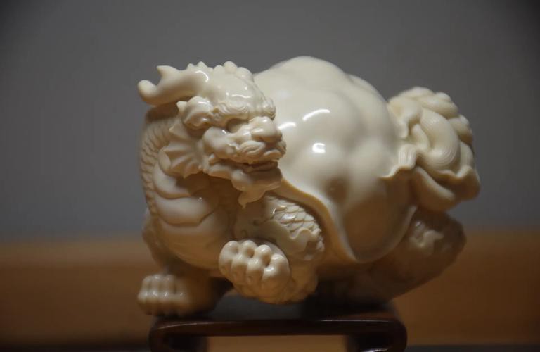 10萬(wàn)以上龍龜圖片【圖行天下龍龜圖片鑒定】 龍魚(yú)論壇 第11張 10萬(wàn)以上龍龜圖片【圖行天下龍龜圖片鑒定】 10萬(wàn)以上龍龜圖片【圖行天下龍龜圖片鑒定】 龍魚(yú)論壇 第11張
